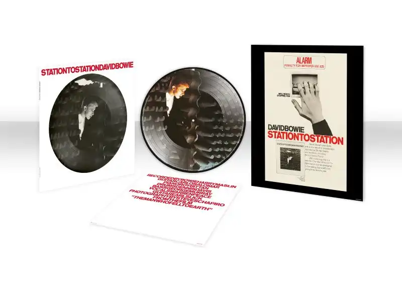 STATION TO STATION (50TH ANNIVERSARY PICTURE DISC VINYL)/DAVID