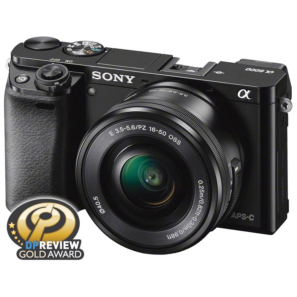 Sony Cyber-shot RX100 V 20.1MP Digital Camera - Black (Basic Kit