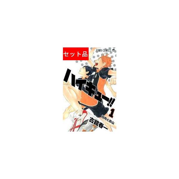 ハイキュー!!（全45巻セット）[9,15,21,27,42巻は限定版] : マンガ屋