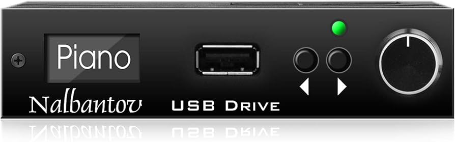 Amazon.co.jp: Yamaha SY77, SY99, V50 用のNalbantov USB フロッピー