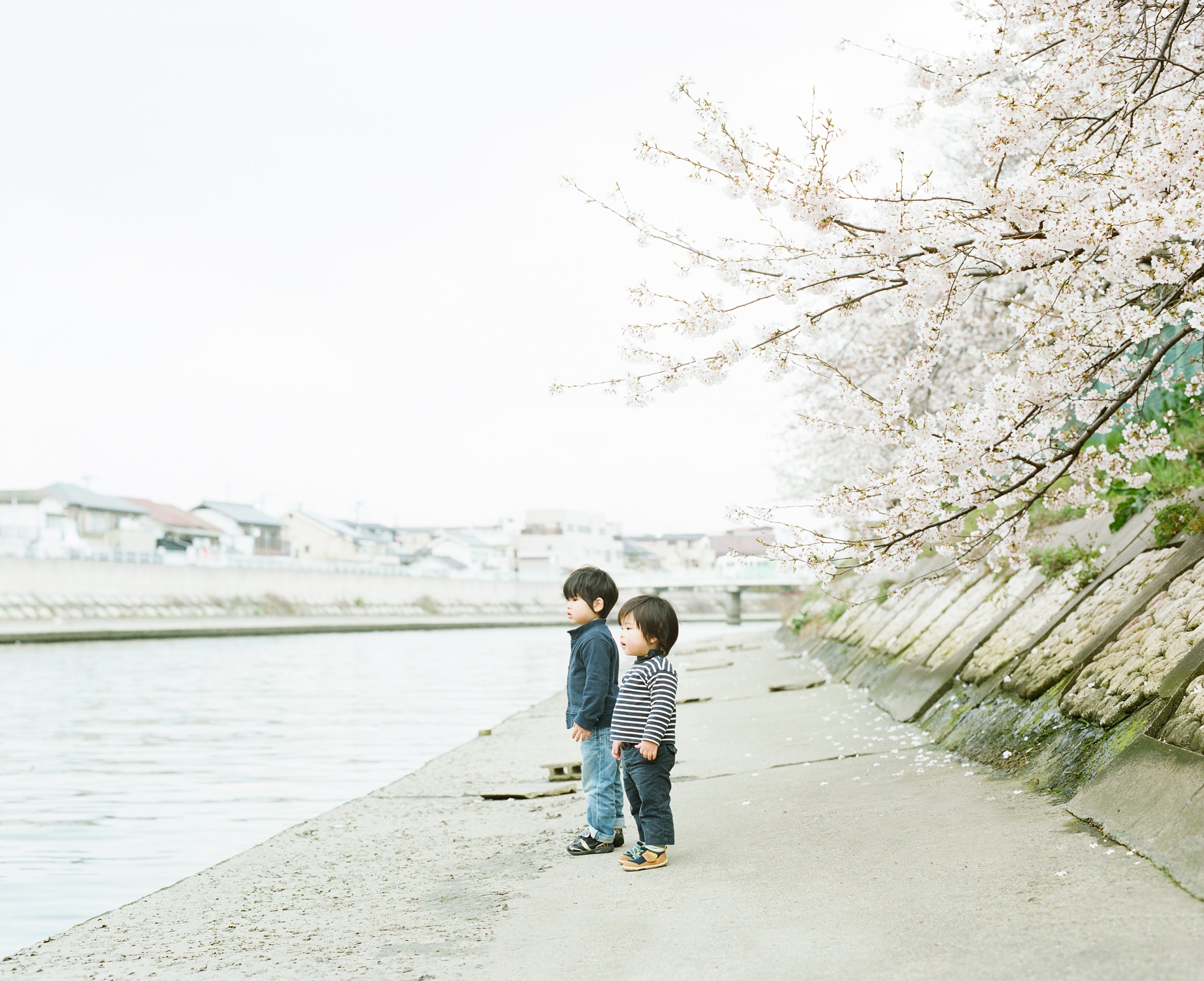 濱田英明 写真集「Haru and Mina」初版本（送料無料） – GENIC SHOP